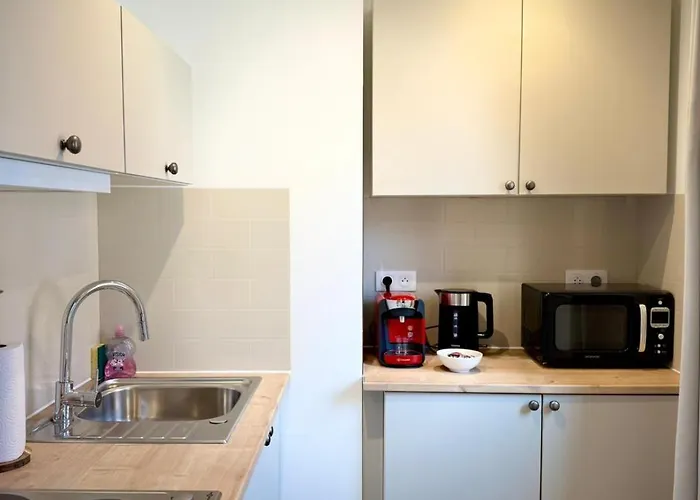 Daire Au Coeur De Lourdes