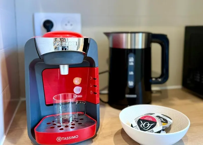 Daire Au Coeur De Lourdes